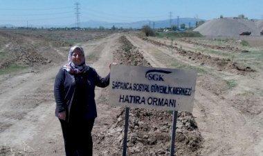 Ankara/Kahramankazan İlçesinde Sapanca SGM Hatıra Ormanı Oluşturuldu